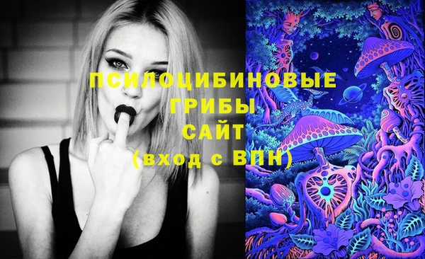 PSILOCYBIN Баксан