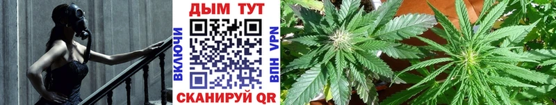 Купить где  Слободской  Бошки Шишки White Widow 